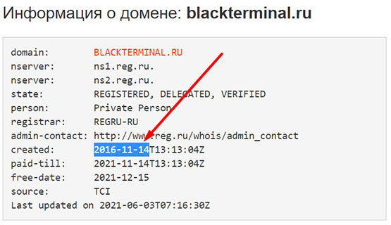 Что представляет из себя компания BlackTerminal? Есть ли опасность?