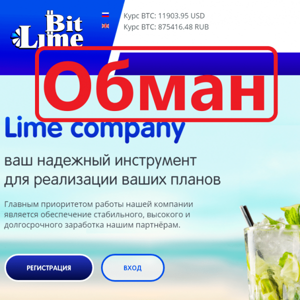 BitLime (btclime.partners) — Отзывы и маркетинг. Проверка Lime Company - Seoseed.ru