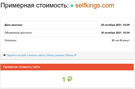 Брокер Selfkings. Есть ли опасность развода или можно доверять? Отзывы.