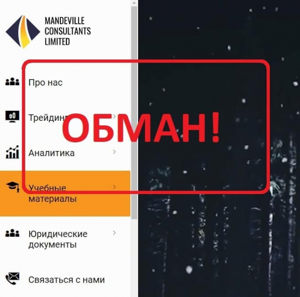 Mandeville Consultants Limited — отзывы клиентов о компании - Seoseed.ru