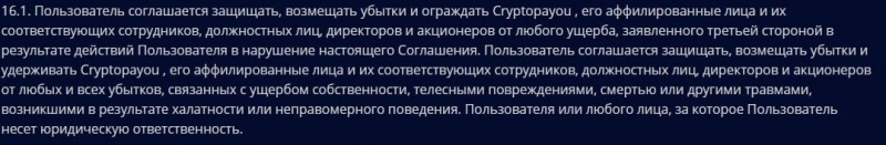 Cryptopayou: отзывы о платформе, предложения и возможности