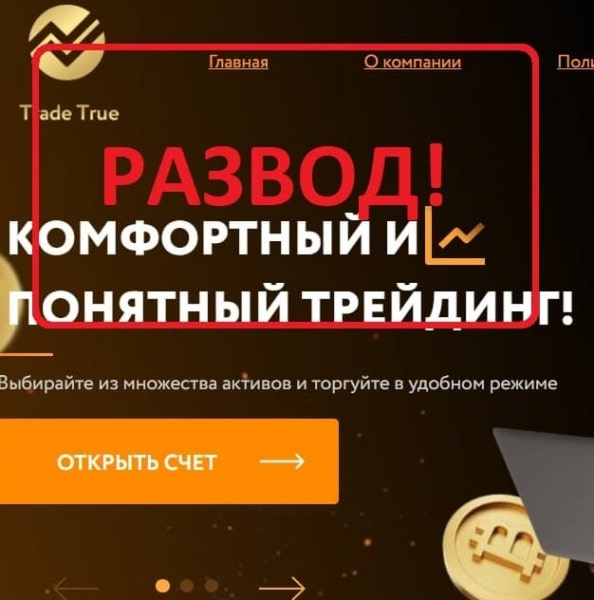 Реальные отзывы о Trade True — брокер trade-true.com - Seoseed.ru