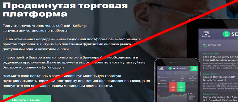 SelfKings отзывы и обзор проекта! ОБМАН!!!