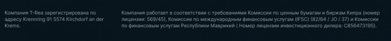 T-Rea: отзывы, полный обзор деятельности компании и предложений