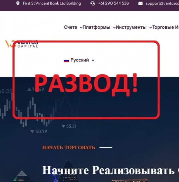 Реальные отзывы о Ventus Capital — обзор - Seoseed.ru