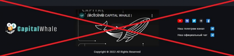 CapitalWhale — отзывы клиентов о компании capitalwhale.io - Seoseed.ru