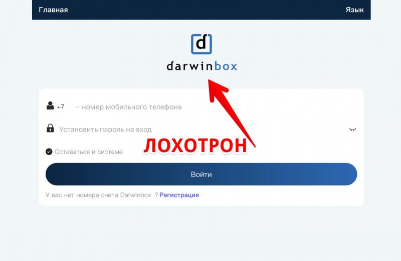 Darwinbox.works отзывы о работе — Дарвин Бокс что это? - Seoseed.ru