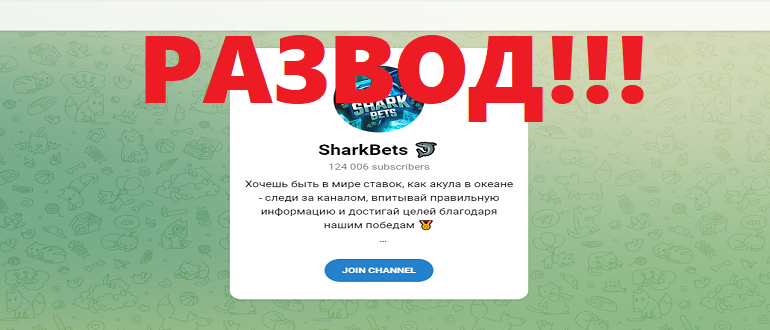 Sharkbets отзывы телеграмм