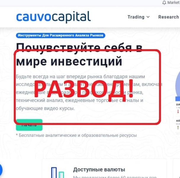 Cauvo Capital — отзывы клиентов о брокере cauvocapital.com - Seoseed.ru