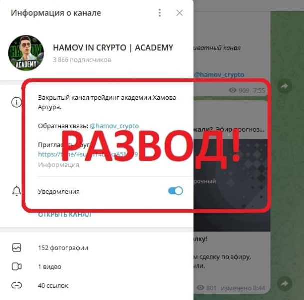 Hamov In Crypto отзывы о телеграмм канале — развод? - Seoseed.ru