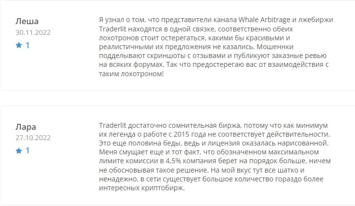 Биржа Traderlit — отзывы и обзор traderlit.com - Seoseed.ru