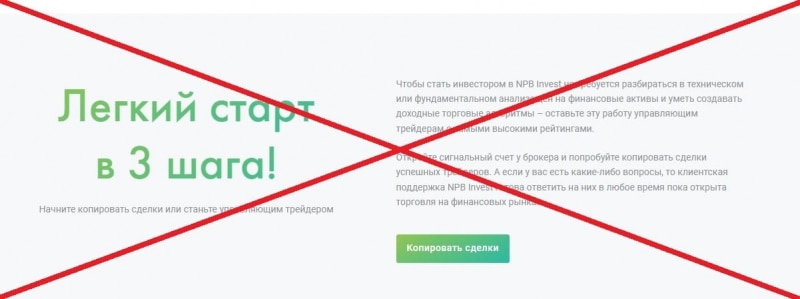 NPB Invest отзывы — проект от брокера NPBFX - Seoseed.ru