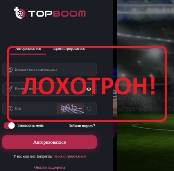 TopBoom — отзывы клиентов. Работа или развод? - Seoseed.ru