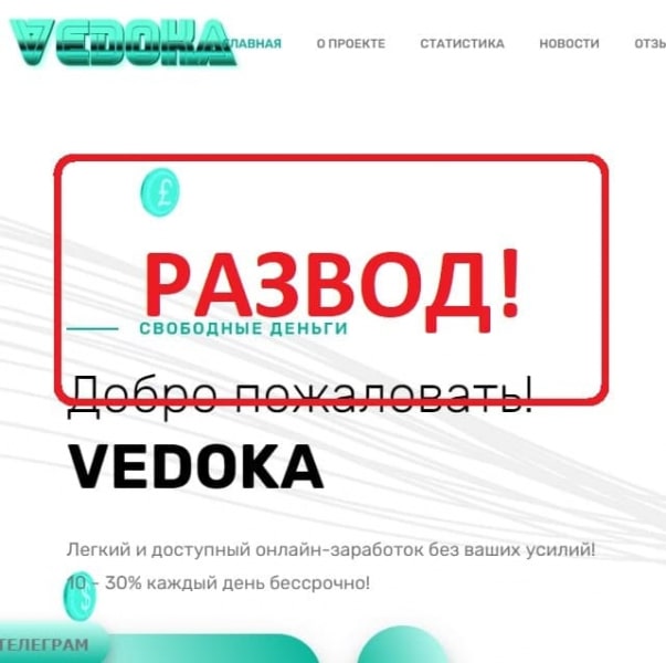 Отзывы о VEDOKA — развод! - Seoseed.ru