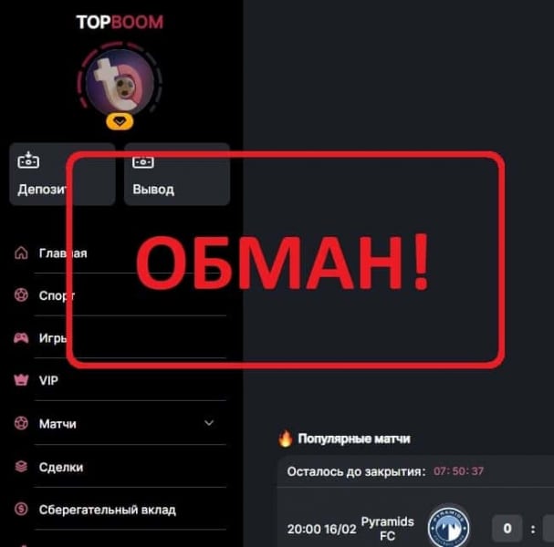 Реальные отзывы о компании Topboom — заработок на topboom - Seoseed.ru