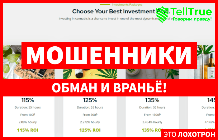 Cbd Invest (cbd-invest.pro): обзор и отзывы