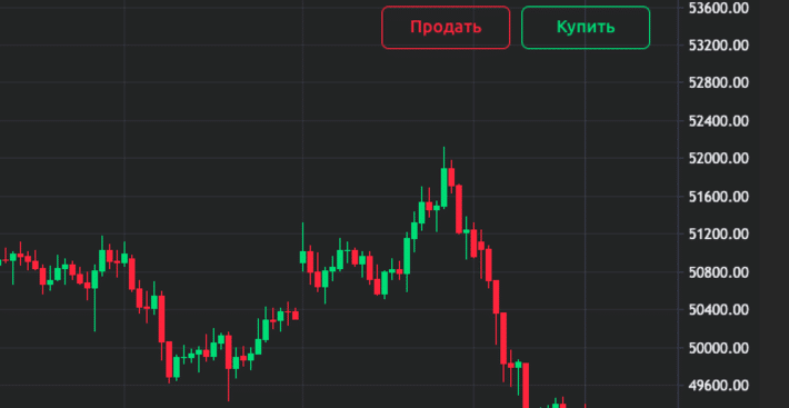 Криптобиржа Netolax: обзор и отзывы клиентов. Как вернуть деньги?