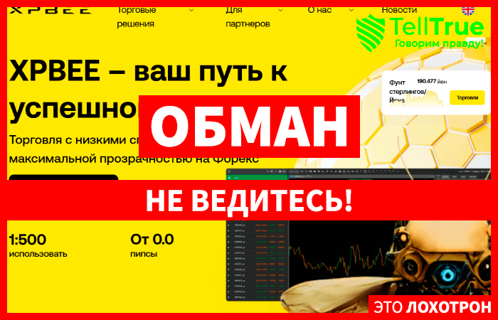 XPBEE (xpbee.pro) лжеброкер! Отзыв Telltrue