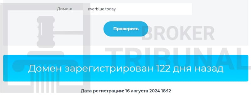 
                Everblue — свежий анонимный псевдоброкер
            