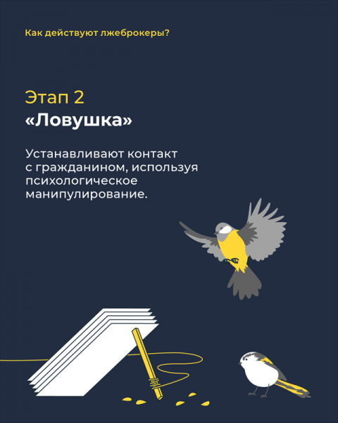 Минфин предупредил о мошенничестве лжеброкеров. Как вернуть деньги от брокеров — аферистов?