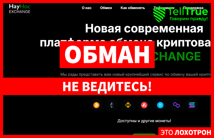 HayHoc EXCHANGE (hayhoc.com) фальшивый криптообменник!