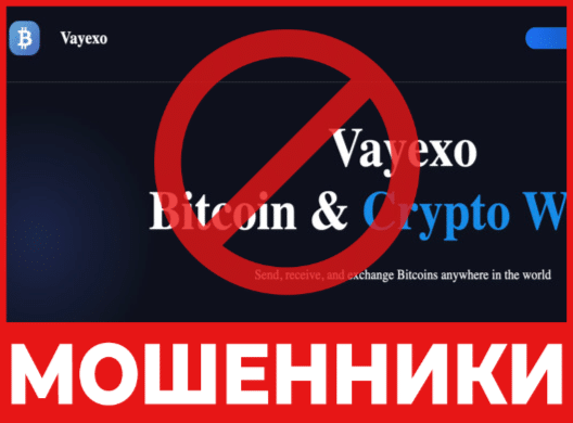 Крипто-кошелек мошенник  Vayexo  — обзор, отзывы, схема обмана