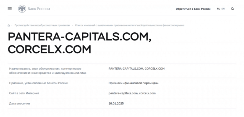 Pantera-capitals (Пантера-Кэпиталс), отзыв обманутого клиента. Как вернуть деньги?