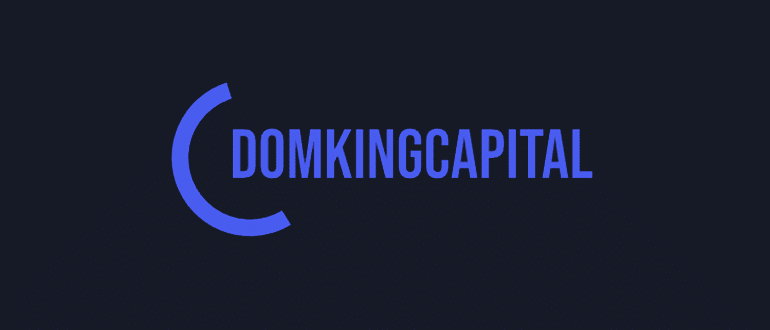 Domking Capital LTD