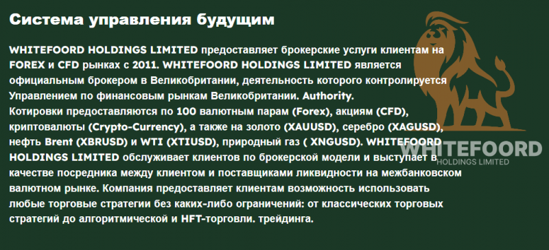 Онлайн брокер Whitefoord Holdings Limited — реальные отзывы